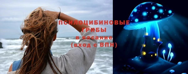 мдпв Сафоново
