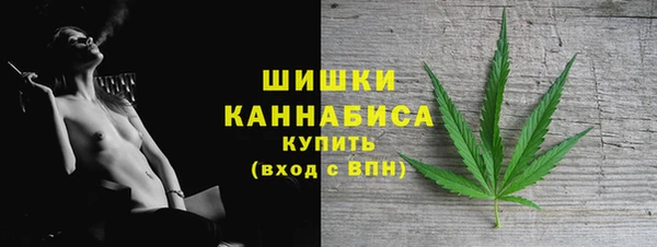 шишки Алзамай