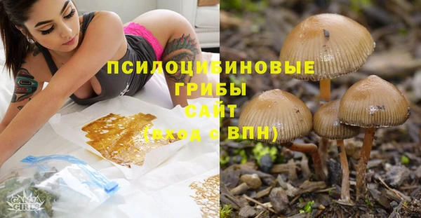 стаф Алексеевка