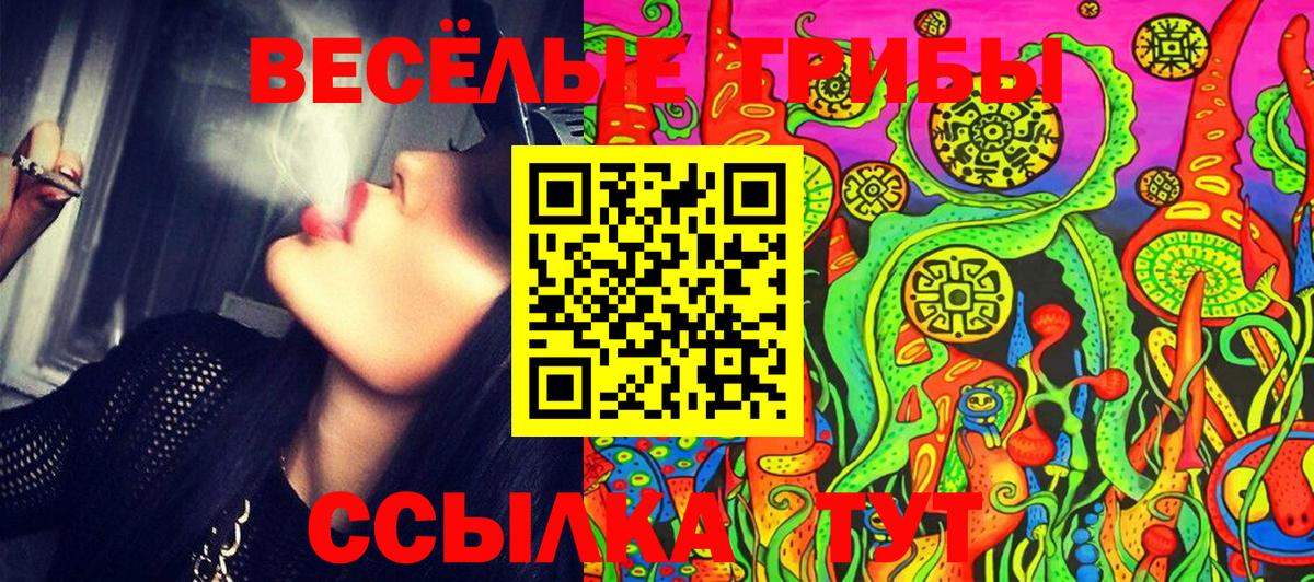Алушта  Галлюциногенные грибы ЛСД  Галлюциногенные грибы Psilocybe  Вход с VPN 