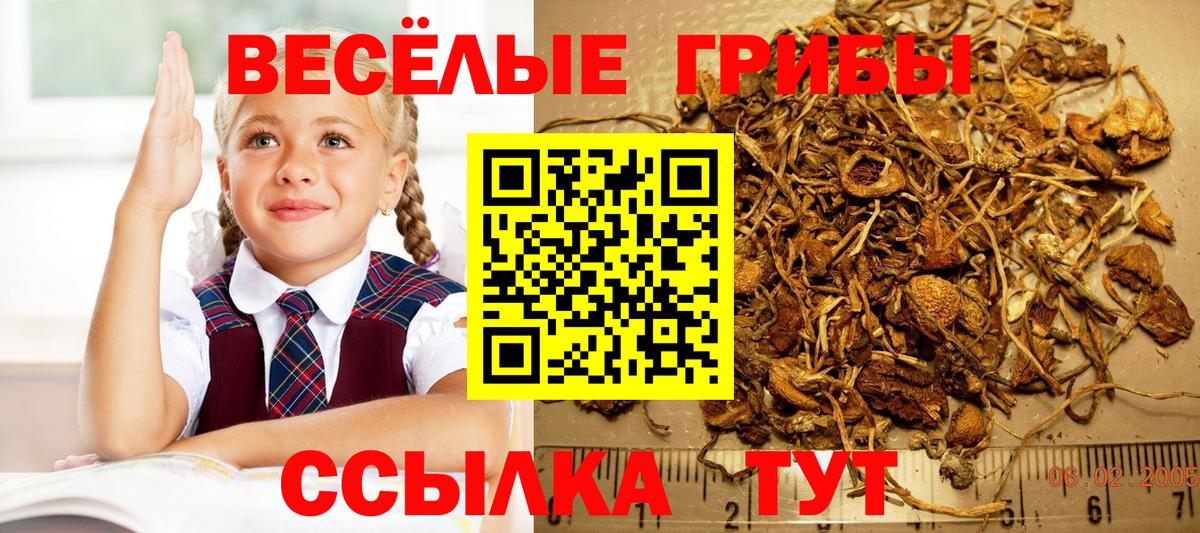 Марихуана  Алушта  Вход с VPN  КОКАИН  МЕФ кристаллы  ГАШ 